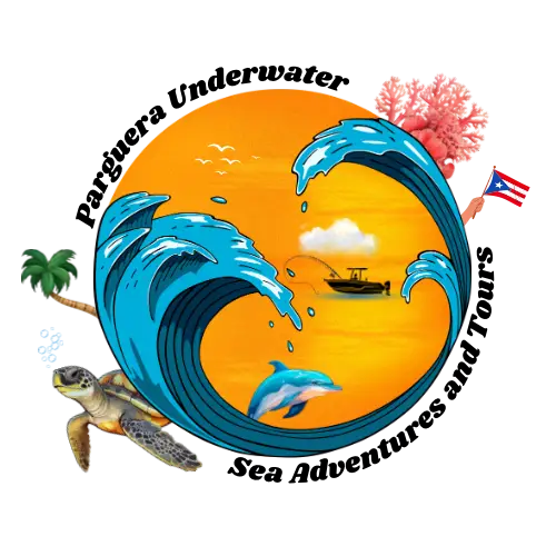 Parguera-Underwater-Logo (1)